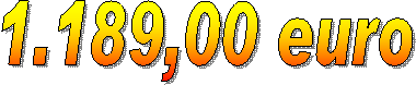 1.189,00 euro